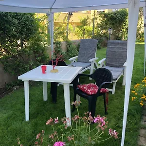 https://robert-house.hotelsalgherosardinia.com